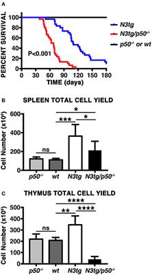 NF-κB1 Regulates Immune Environment and Outcome of Notch-Dependent T-Cell Acute Lymphoblastic Leukemia